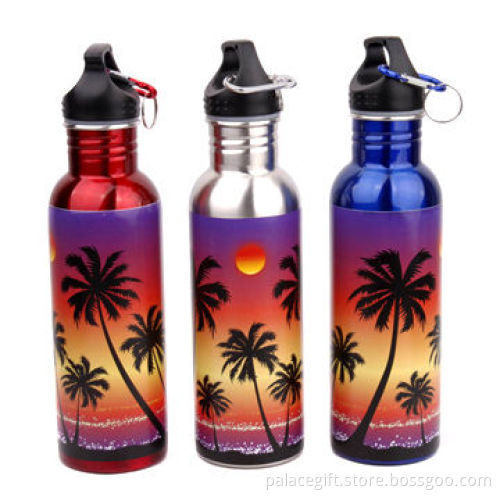 Stainless Steel Sports Water Bottle, American-style, Sports, 750mL with Decal